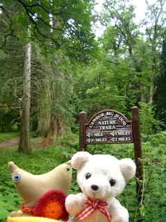 Cawdor Castle