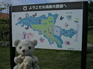 観光農園