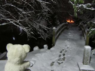 雪景色