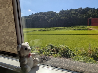 水田