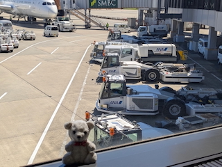 空港車両