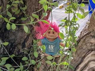 妖精